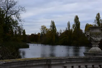 DSC_0565 (Large).JPG